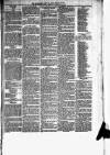 Helensburgh News Thursday 20 February 1879 Page 3