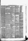 Helensburgh News Thursday 27 February 1879 Page 3