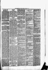 Helensburgh News Thursday 13 March 1879 Page 3