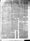 Invergordon Times and General Advertiser Wednesday 01 January 1879 Page 3