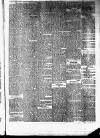 Invergordon Times and General Advertiser Wednesday 26 March 1879 Page 3