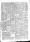 Invergordon Times and General Advertiser Wednesday 06 January 1886 Page 3