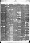 Kelso Mail Saturday 07 February 1880 Page 3