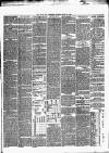 Kelso Mail Wednesday 10 March 1880 Page 3