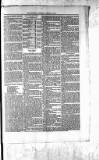 Northman and Northern Counties Advertiser Saturday 10 January 1880 Page 3