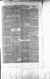 Northman and Northern Counties Advertiser Saturday 14 February 1880 Page 3