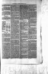 Northman and Northern Counties Advertiser Saturday 21 February 1880 Page 3
