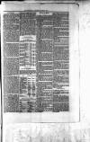 Northman and Northern Counties Advertiser Saturday 06 March 1880 Page 3