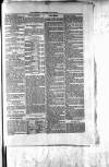 Northman and Northern Counties Advertiser Saturday 22 May 1880 Page 3