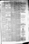 Northman and Northern Counties Advertiser Saturday 05 February 1881 Page 3