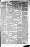 Northman and Northern Counties Advertiser Saturday 19 February 1881 Page 3