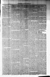 Northman and Northern Counties Advertiser Saturday 26 March 1881 Page 3