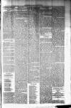 Northman and Northern Counties Advertiser Saturday 11 June 1881 Page 3