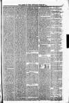Shetland News Saturday 27 June 1885 Page 3