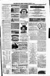 Shetland News Saturday 11 July 1885 Page 7