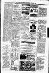 Shetland News Saturday 18 July 1885 Page 7
