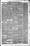 Shetland News Saturday 21 November 1885 Page 7