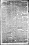 Shetland News Saturday 28 November 1885 Page 5
