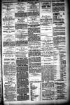Shetland News Saturday 08 January 1887 Page 3
