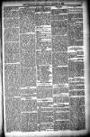 Shetland News Saturday 15 January 1887 Page 5