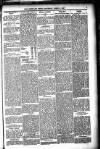 Shetland News Saturday 09 April 1887 Page 5