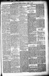Shetland News Saturday 16 April 1887 Page 5
