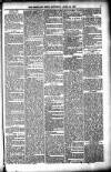 Shetland News Saturday 23 April 1887 Page 5