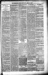 Shetland News Saturday 23 April 1887 Page 7
