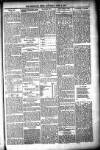 Shetland News Saturday 04 June 1887 Page 5