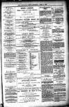 Shetland News Saturday 11 June 1887 Page 3