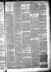 Shetland News Saturday 11 June 1887 Page 7