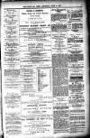Shetland News Saturday 18 June 1887 Page 3
