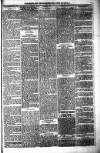 Shetland News Saturday 25 June 1887 Page 7