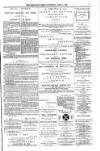 Shetland News Saturday 02 June 1888 Page 3