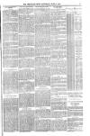 Shetland News Saturday 02 June 1888 Page 7