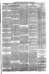 Shetland News Saturday 09 June 1888 Page 7