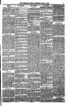 Shetland News Saturday 11 May 1889 Page 7