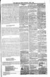 Shetland News Saturday 07 June 1890 Page 7