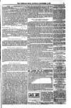 Shetland News Saturday 01 November 1890 Page 7