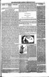 Shetland News Saturday 14 February 1891 Page 6