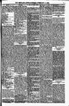 Shetland News Saturday 11 February 1893 Page 5