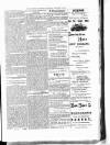 Colonial Guardian (Belize) Saturday 28 January 1882 Page 3