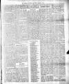 Colonial Guardian (Belize) Saturday 17 March 1883 Page 3