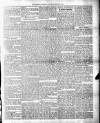 Colonial Guardian (Belize) Saturday 24 March 1883 Page 3