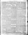 Colonial Guardian (Belize) Saturday 31 March 1883 Page 3