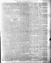 Colonial Guardian (Belize) Saturday 14 April 1883 Page 3