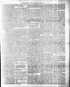 Colonial Guardian (Belize) Saturday 21 April 1883 Page 3