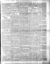 Colonial Guardian (Belize) Saturday 09 June 1883 Page 3