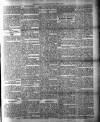 Colonial Guardian (Belize) Saturday 23 June 1883 Page 3