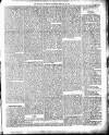 Colonial Guardian (Belize) Saturday 23 February 1884 Page 3